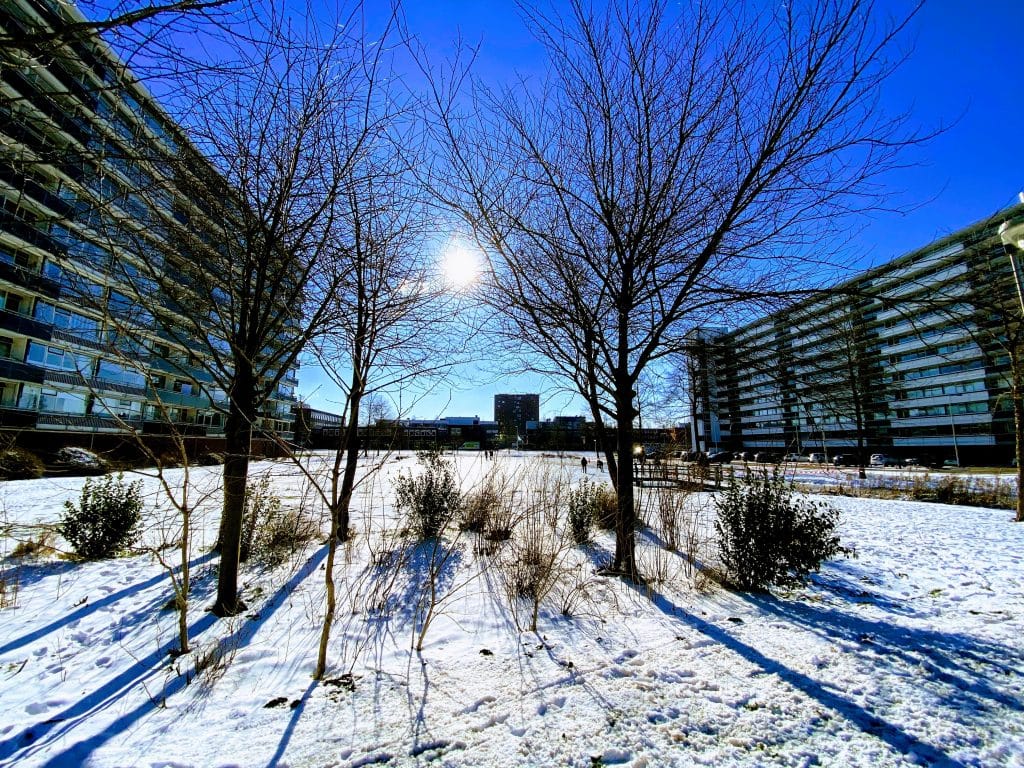 Op de foto staan aan de linker- en rechter kant flats gezien vanaf het Bleulandpad. Er ligt sneeuw en er schijnt een zonnetje tussen 2 kale bomen.