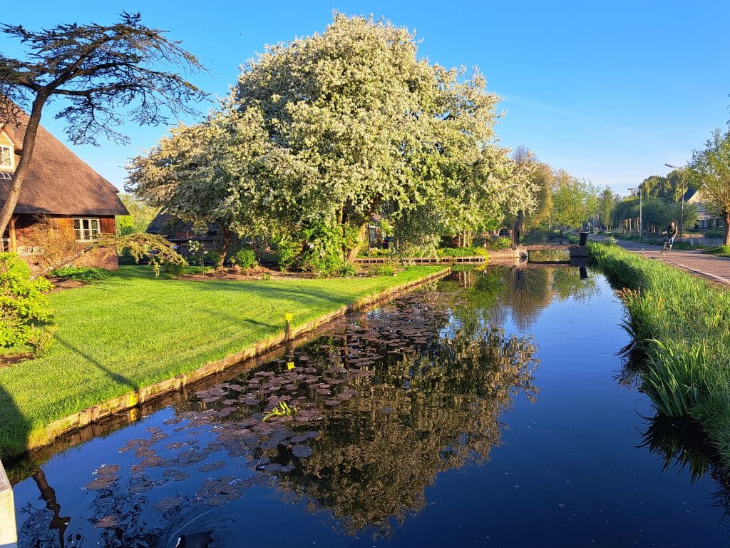 Op de foto is de Bloemendaalseweg te zien.